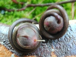 szk080429 034.01.jpg