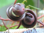 szk080429 036.01.jpg