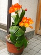 szk080502 003.01.jpg