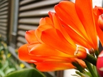 szk080502 005.01.jpg