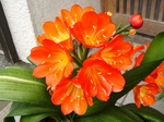 szk080502 009.01.jpg