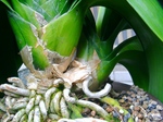 szk080502 011.01.jpg
