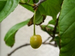 szk080509 005.01.jpg