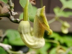 szk080511 024.01.jpg