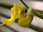 szk080512 007.01.jpg