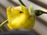 szk080512 008.01.jpg
