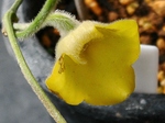 szk080512 011.01.jpg