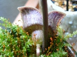 szk080513 015.01.jpg
