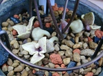 szk080513 044.01.jpg