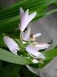 szk080516 022.01.jpg