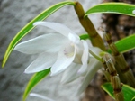 szk080521 006.01.jpg
