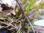 szk080521 008.01.jpg