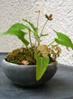 szk080524 006.01.jpg