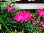 szk080611 001.01.jpg