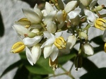 szk080614 004.01.jpg