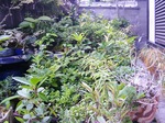 szk080615 003.01.jpg