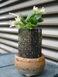 szk080615 004.01.jpg