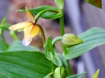 szk080618 004.01.jpg