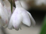 szk080619 002.01.jpg