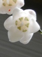 szk080619 003.01.jpg