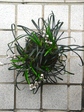 szk080619 006.01.jpg