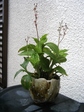 szk080621 001.01.jpg