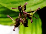 szk080621 002.01.jpg