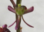 szk080621 003.01.jpg