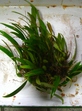 szk080621 005.02.jpg