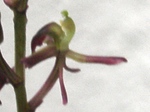 szk080621 006.01.jpg