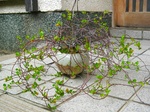 szk080623 008.01.jpg