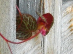 szk080624 002.01.jpg