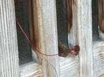 szk080624 005.01.jpg