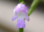 szk080628 004.01.jpg