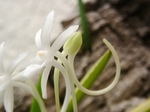 szk080628 012.01.jpg