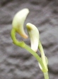 szk080628 017.01.jpg