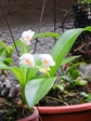 szk080628 019.01.jpg