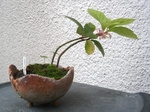 szk080628 022.01.jpg
