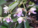 szk080701 004.01.jpg