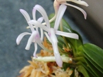 szk080704 005.01.jpg