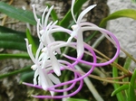 szk080709 012.01.jpg