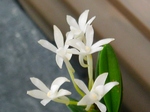 szk080714 012.01.jpg