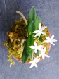 szk080714 013.01.jpg