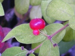 szk080717 009.01.jpg