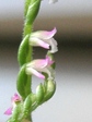 szk080717 011.01.jpg