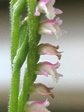 szk080717 018.01.jpg