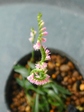 szk080717 020.01.jpg