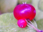 szk080717 021.01.jpg