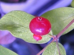 szk080717 022.01.jpg