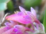 szk080719 005.01.jpg